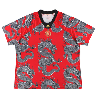 MANCHESTER UNITED FC SPECIAL EDITION JERSEY 2019-20