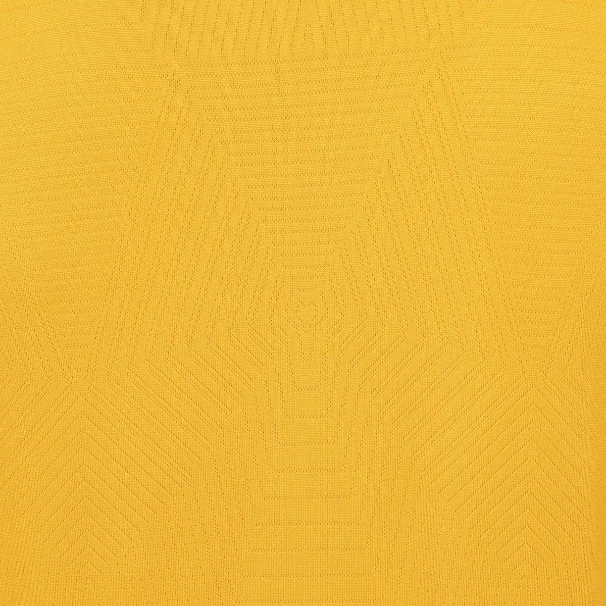 2024-25 Wolverhampton Wanderers FC 1a Equipación