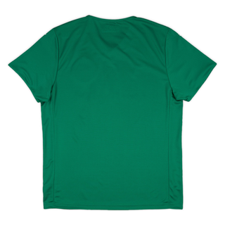 SE PALMEIRAS HOME JERSEY 2025-26