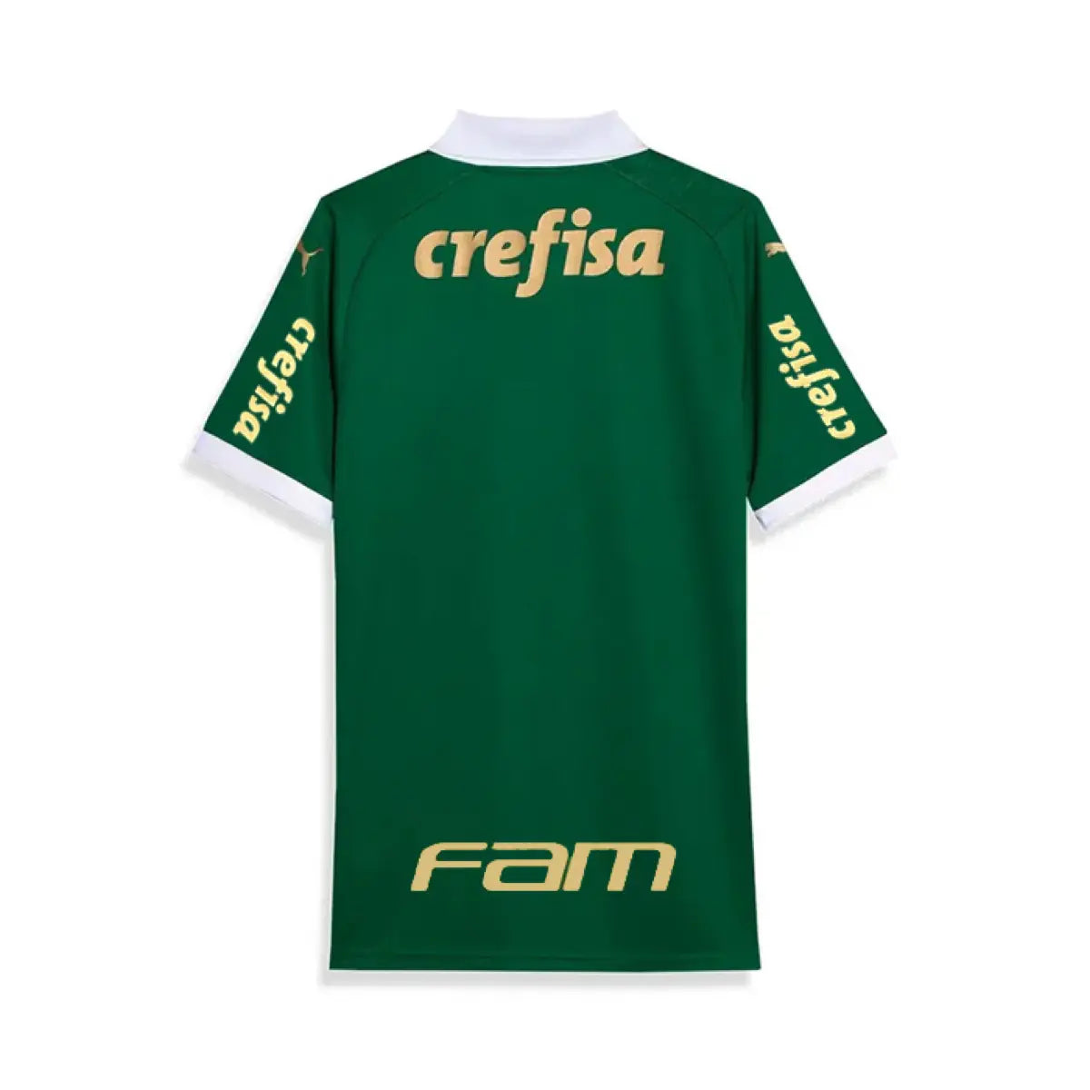 2024-25 SE Palmeiras 1a Equipación Nation Jersey