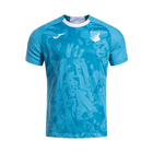 2025-26 TSG 1899 Hoffenheim 2a Equipación