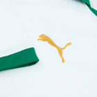 2024-25 SE Palmeiras 2a Equipación