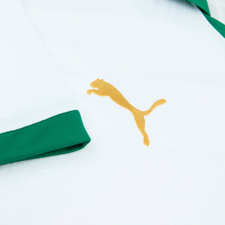 SE PALMEIRAS AWAY JERSEY 2024-25