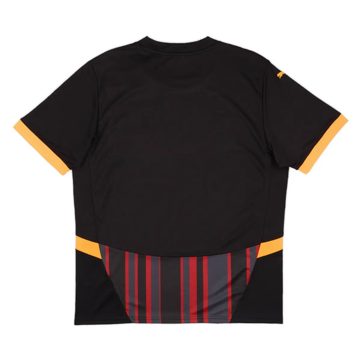 2024-25 Galatasaray SK 3a Equipación Nation Jersey