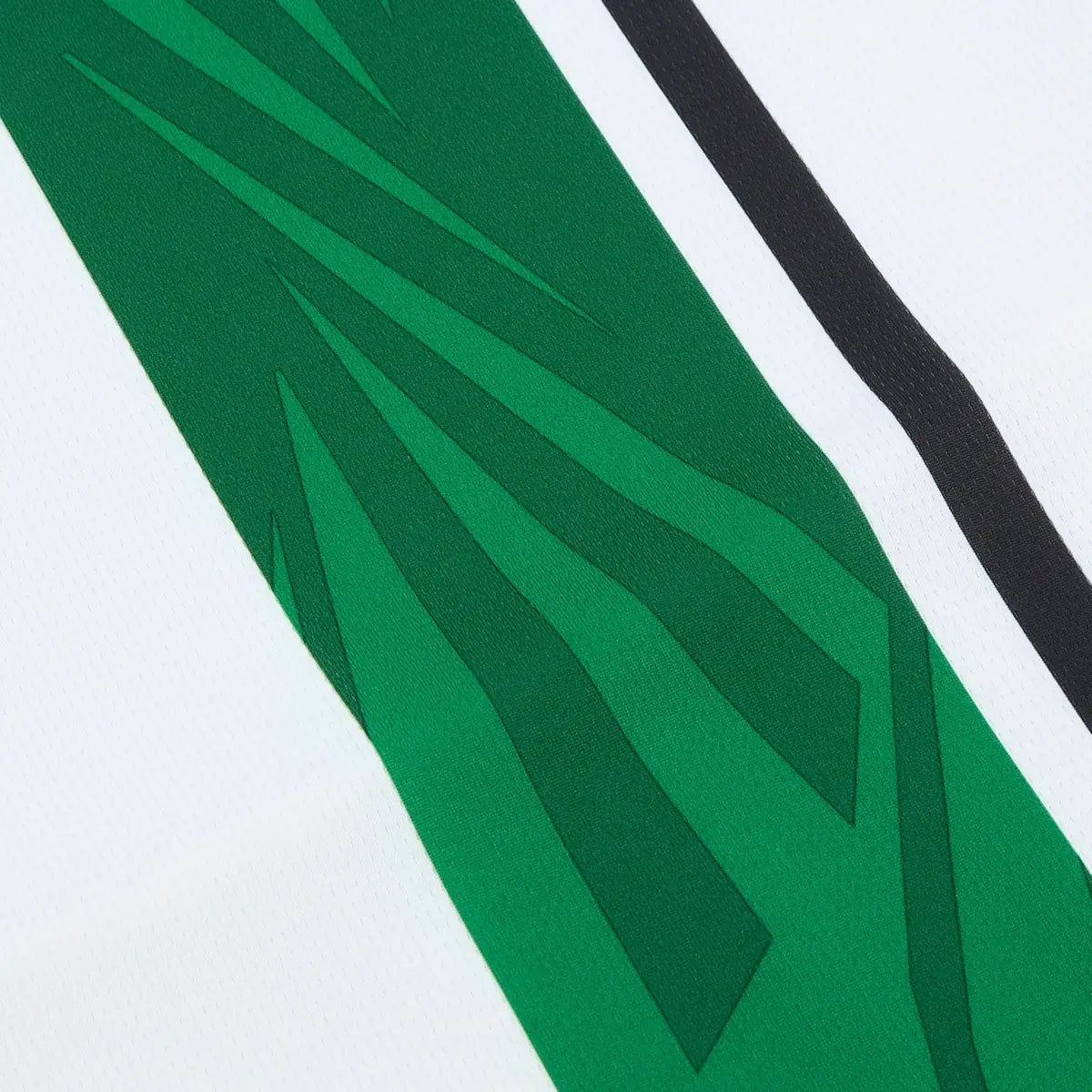 2024-25 Borussia Mönchengladbach 1a Equipación Nation Jersey