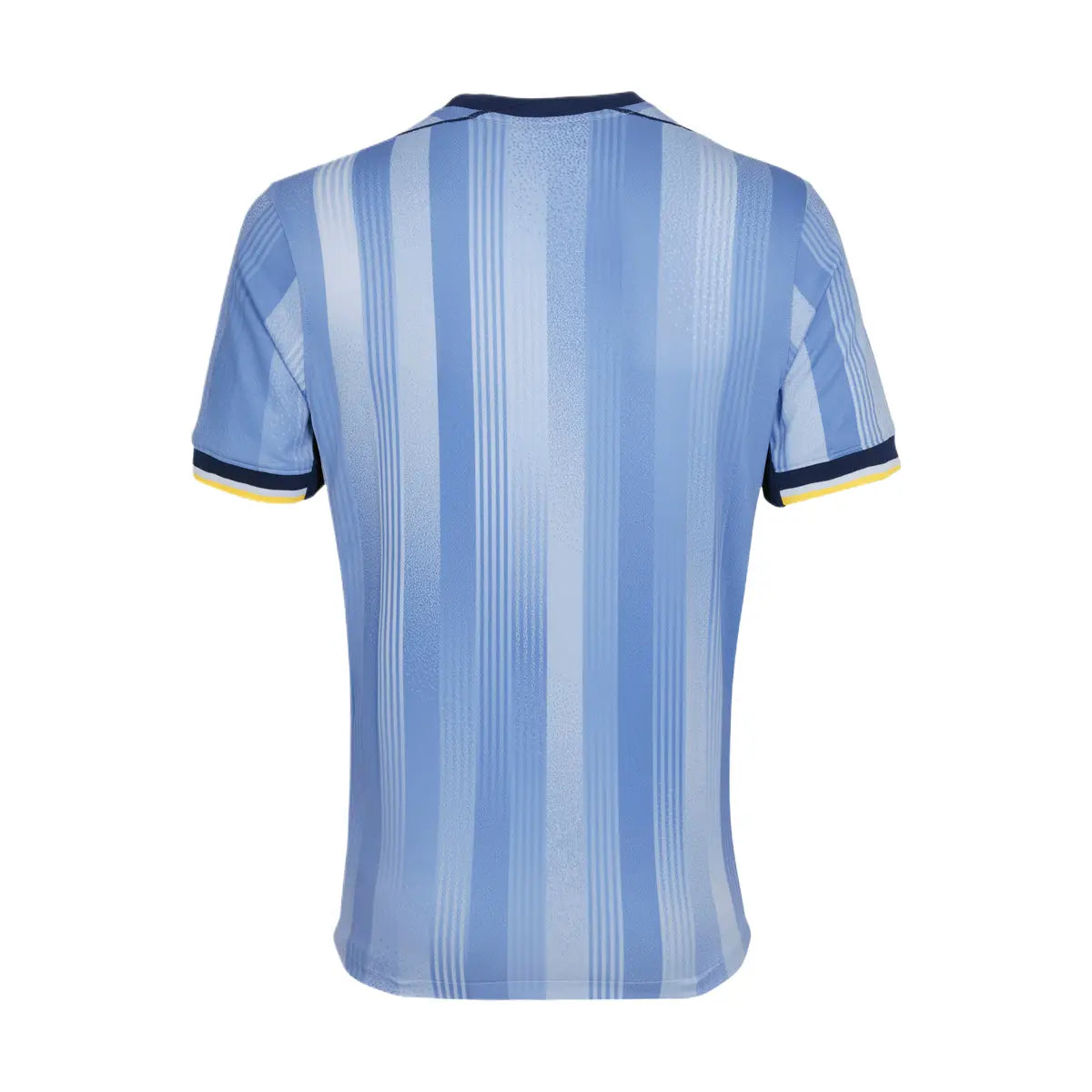 2024-25 Tottenham Hotspur FC 2a Equipación Nation Jersey