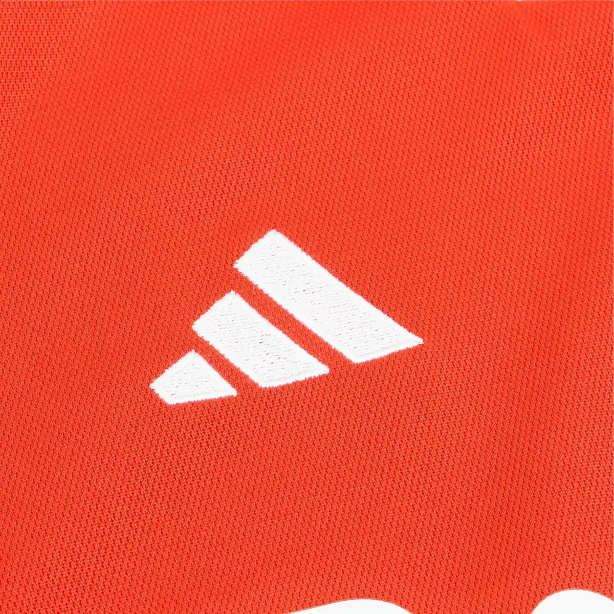 2023-24 SL Benfica 1a Equipación Nation Jersey