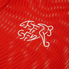 2026 Suiza 1a Equipación